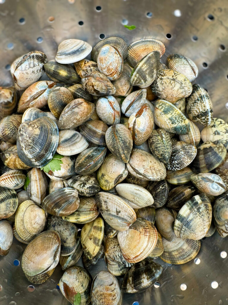 Spaghetti alle vongole recipe by the Puglia Guys. Spaghetti alle vongole is a dish that captures the essence of our summer. It speaks of family and friends gathered together for a lazy lunch by the seaside, or at home. The light and fresh flavours make it ideal for hot days as well as balmy nights.