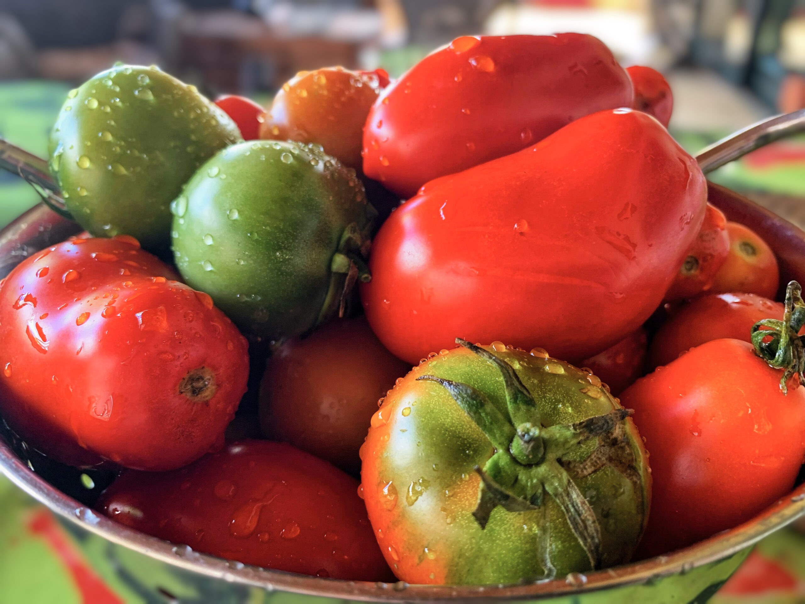 Tomatoes from the Puglia Kitchen garden, for classic Italian tomato sauce, photo by the Puglia Guys