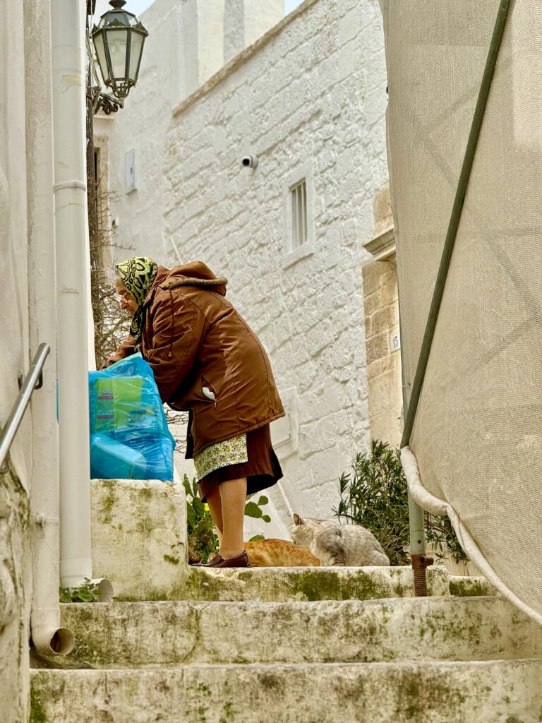 A resident of Ostuni’s old town feeds the local cat population. Ostuni, la città bianca. Photo by the Puglia Guys for the Puglia Guts Ostuni city guide. 