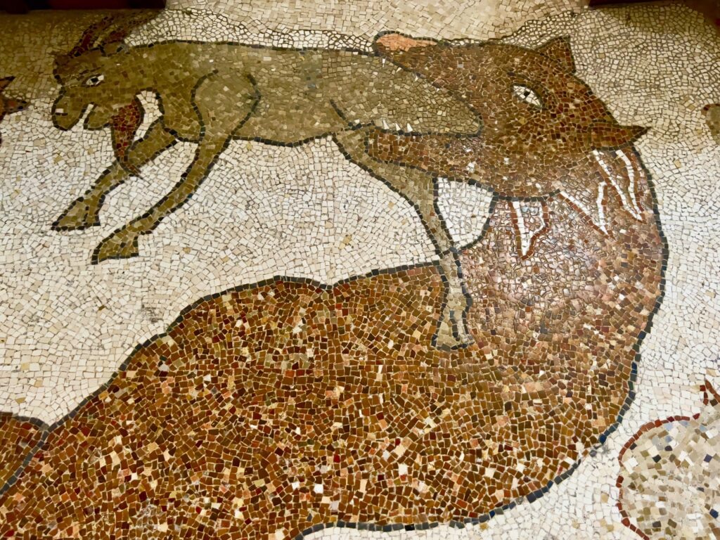 Inside Otranto Cathedral is one of the largest and best preserved medieval floor mosaics in Europe. The mosaic, which spans the length of the central nave and parts of the side naves, consists of around 10 million individual tiles. It was completed in only three years, in 1166, by the monk Pantaleone of San Nicola di Casole monastery.

Depicting the Tree of Life, three allegorical trees serve as an ancient Wikipedia, encompassing themes from the Holy Scriptures such as Genesis, the Flood, Solomon and the Queen of Sheba, and scenes of Heaven and Hell. The mosaic includes representations of Ancient Roman bestiarii, months of the year, and mythological figures like Atlas with the globe on his shoulders. There are depictions from classical and Breton legends: Alexander the Great’s ascent to the heavens and King Arthur. This synthesis of Greek, Byzantine, and Norman cultural themes reflects Otranto’s cultural diversity, where Christianity and Judaism coexisted. The city hosted a vibrant Jewish community of 500 families in the 12th century.

Photo by the Puglia Guys, Puglia ambassadors. PugliaGuys.com